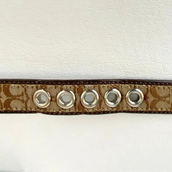 Coach Small Puppy Dog Collar & Matching Leash Set - Picture 12 of 13